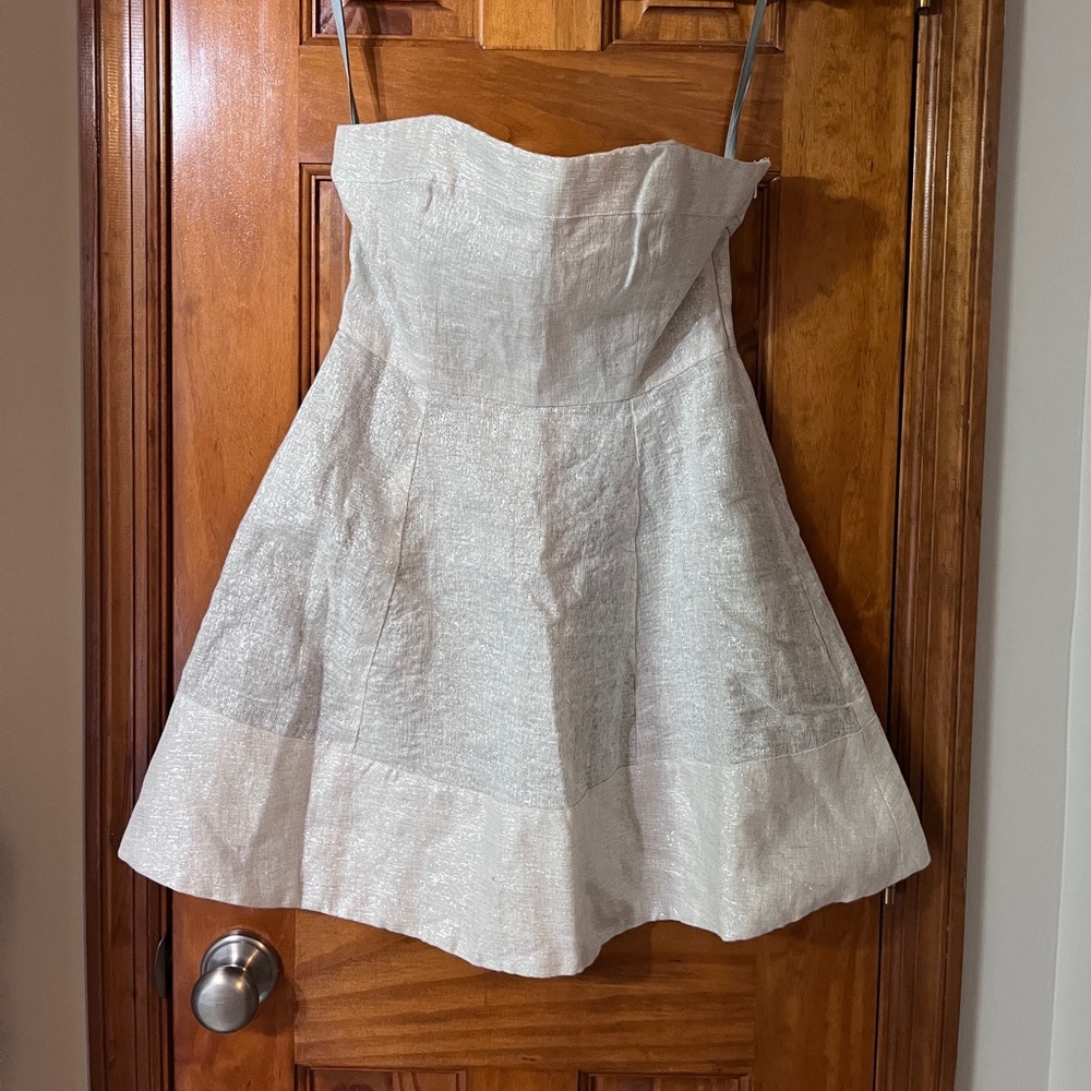 Lorick Strapless Sparkly Mini